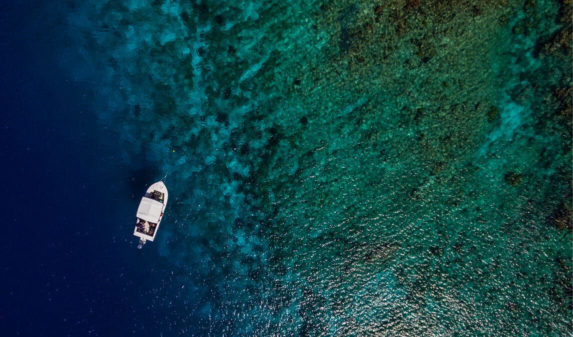 mouillage posidonies enjeux juridiques environnementaux skippers professionnels