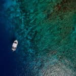 mouillage posidonies enjeux juridiques environnementaux skippers professionnels