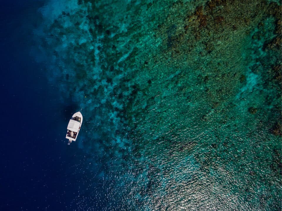 mouillage posidonies enjeux juridiques environnementaux skippers professionnels